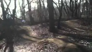 Cunningham park