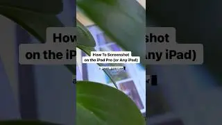 screenshot on the iPad 
