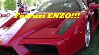 Rare Ferrari Enzo, Ford Gt and more!!