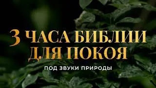 3 часа Библии для покоя под звуки природы. Современный перевод Библии 