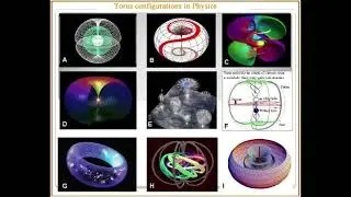 All is Atum - Torus Field