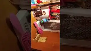 мой  кукольный домик