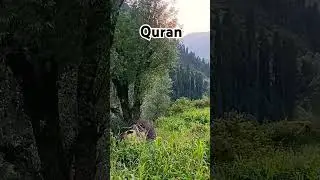 Quran #quran #imanwalo #quran