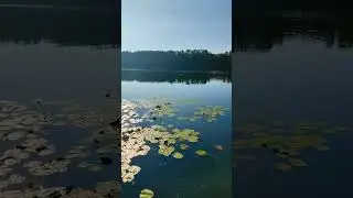 3 сентября сегодня, дышит осень по утрам.. #настроение