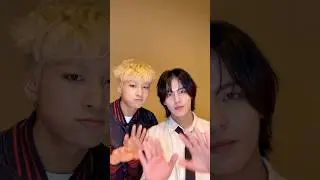 🧊🐈꽁꽁 얼어붙은 한강 위로 강아지도 갈까 말까,,🐶🐾🐻✌🏻#TAN #티에이엔 #재준 #현엽 #지성 #꽁꽁얼어붙은한강위로고양이가걸어다닙니다