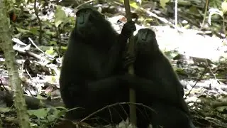 Hug