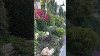 3💚 