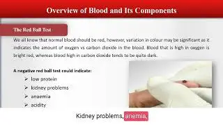 What is the Importance of the Red Ball Test - Live Blood Analysis Training Course