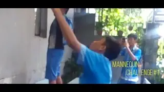 Mannequin Challenge