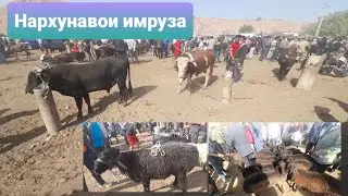 МОЛБОЗОРИ УЯЛИ НАРХУ НАВОИ ИМРУЗА БУКА БАРОИ БОНИ БУКАЧА ГУСПАНД  ХАТМАН ТАМОШО КУНЕД 2021 🐄🐃🐂🐑🐑$$@@