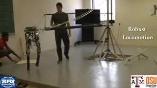 Introducing: DURUS-2D