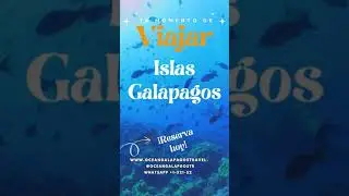 ¿Por qué visitar las Islas Galápagos en Ecuador?  Parte V  #destinosturísticos #destinosexóticos