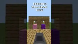 MINECRAFT INTUITION TEST FEAT CASOH #minecraft #intuition #caseoh