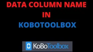 How To Use Data Column Name in Kobotoolbox