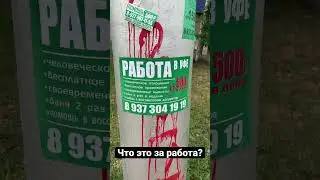Странное объявление о работе 