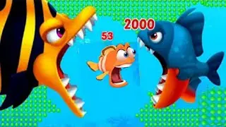 Fishdom Gameplay
