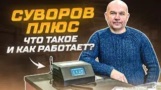 Суворов ПЛЮС - что такое и как работает?