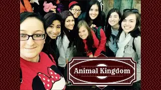 DCP Reunion - Part 5 - ANIMAL KINGDOM