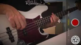 Queens Of The Stone Age - I sat by the ocean (bass covid cover)