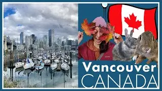 Destination Vancouver! USA to Canada Travel Blog - A Brief Canadian Detour