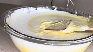 I MADE PUMPKIN ICE CREAM #ingastv #video #howto