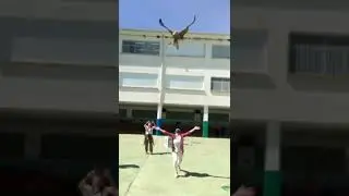 El 19 de mayo , en el ámbito del proyecto LIFE Eurokite, se liberó un milano real recuperado en AMUS
