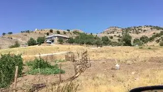 Zeyne Mıçe Kahraman