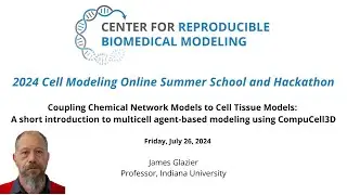 2024 Summer School - Day 5.5 - Coupling Chemical Network Models to Cell Tissue Models