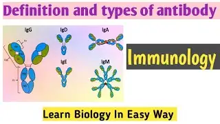 antibodies and their types | Immunology #biology #class12biology #neetbiology