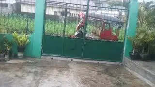 Satisfying Rain Sound (1 Minute Video) (ThunderStorm Started: August 18 2020)
