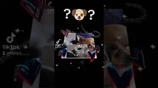 25 сентября 2023 г.