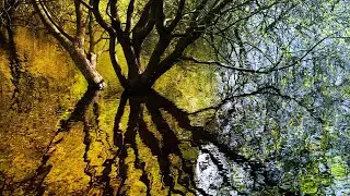 Ten Shots From A Year Of Lockdowns - Landscape Photography in 2020
