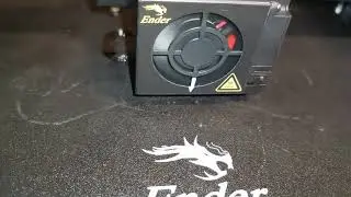 3d Printing brim base with tree infil.