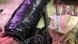 Живці інжиру вже покорилися калусом і дрібними корінцями!