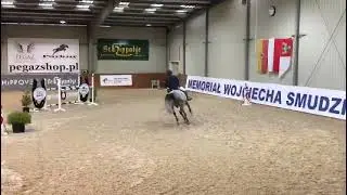 Anatewka (Wizzerd x Quidam de Revel) 2021/10/01 HZO Leszno- MR 120 cm I SPRZEDANA/SOLD