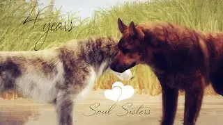 Soul Sisters Forever | 4 years