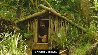 A Day in the Life of survival in the forest and making a shelter underground alone