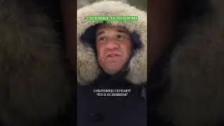 Какие части коровы есть нельзя?  