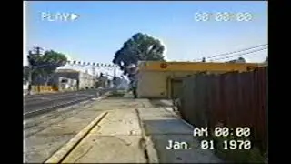paleto 2007