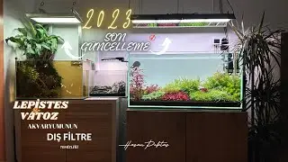 BİTKİLİ AKVARYUMLARIN 2023 SON VİDEOSU #akvaryum #bitkiliakvaryum #aquarium