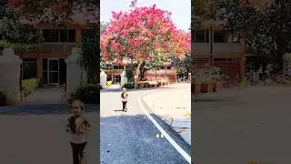 hai koi to vajah #trending #viral #shorts #top#song