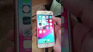 #apple