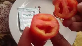 Томат 