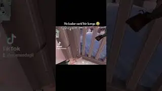 Her kavga böyle olsa 😂