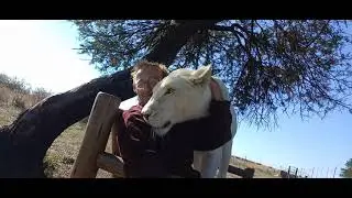 Cuddling with lioness Mia on the bench