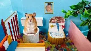 The World's Largest Hamster Prison Maze 🐹 DIY Hamster Maze