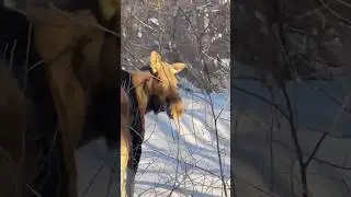 Вот так встреча😍