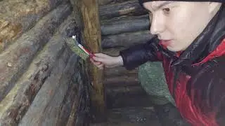 ГОСТИ в ЗЕМЛЯНКЕ | принёс новый ТОПОР | избавляюсь от плесени | ЛЕСНАЯ ХИЖИНА ☀ 4.11.22
