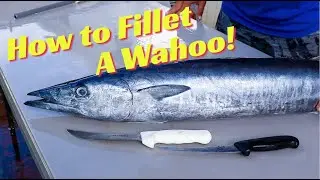 How to Fillet and Clean a Wahoo!