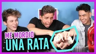 PREGUNTAS CHALLENGE - BESAMOS A UNA RATA - CHACHATI